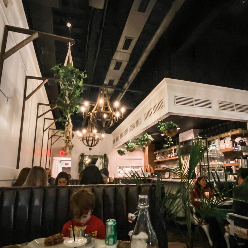 Warmly lit restaurant dining room with hanging plants, chandeliers, a bar, and diners seated in black leather booths.